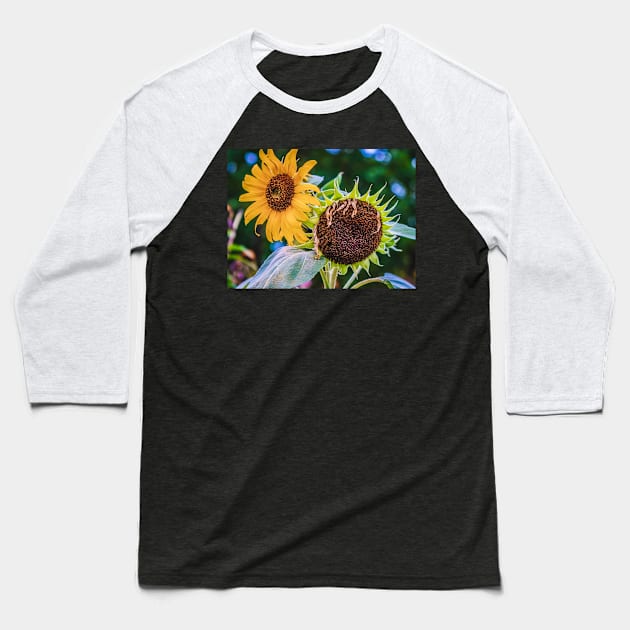 Sunflower Sister Photograph Baseball T-Shirt by love-fi